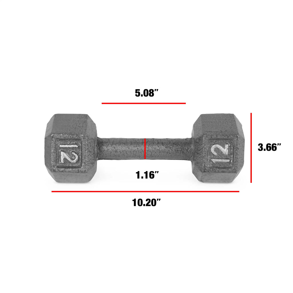 12lb Hex Dumbbell